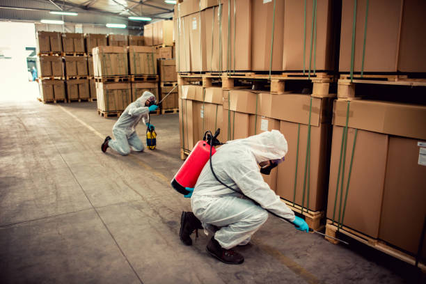 Wasp Removal Services in Shady Hollow, TX