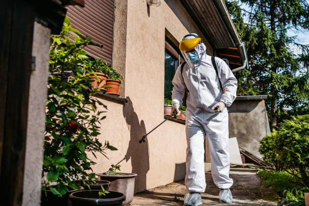 Best Bed Bug Extermination  in Shady Hollow, TX
