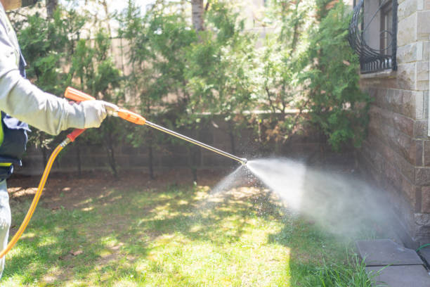 Best Bed Bug Extermination  in Shady Hollow, TX