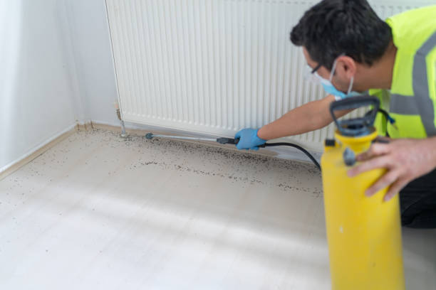Best Pest Control for Businesses  in Shady Hollow, TX