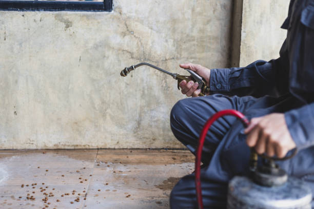 Best Best Pest Control Companies  in Shady Hollow, TX